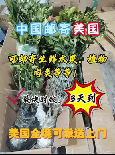 国际物流一手庄